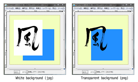 An image of the material graphic overlay with software that can use transparent PNG.