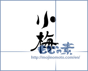 Japanese calligraphy "小梅 (Koume [person's name])" [3363]