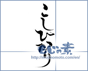 Japanese calligraphy "こしひかり" [12433]
