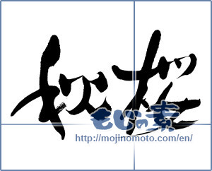 Japanese calligraphy "秋桜 (cosmos)" [12553]