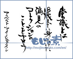 Japanese calligraphy "アインシュタインの言葉 (The word of Einstein)" [12991]