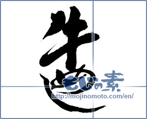 Japanese calligraphy "牛めし" [14111]