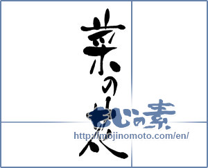 Japanese calligraphy "菜の花 (rape blossoms)" [15395]