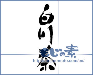 Japanese calligraphy "白川茶" [16280]