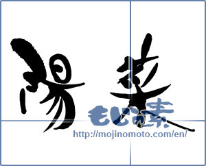 Japanese calligraphy "陽菜" [16367]