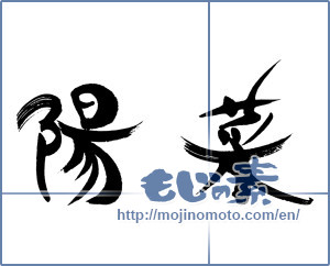 Japanese calligraphy "陽菜" [16368]
