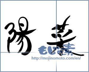 Japanese calligraphy "陽菜" [16369]