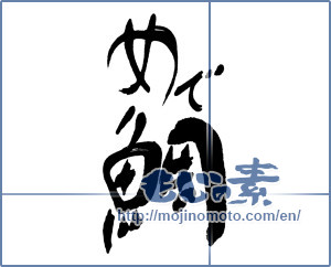 Japanese calligraphy "めで鯛" [16660]