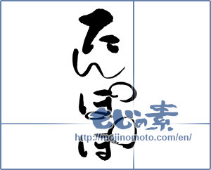 Japanese calligraphy "たんぽぽ (dandelion)" [16680]