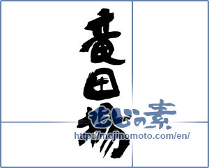 Japanese calligraphy "竜田揚" [16794]