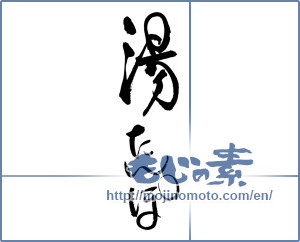 Japanese calligraphy "湯たんぽ" [16836]