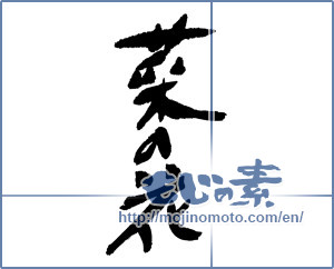Japanese calligraphy "菜の花 (rape blossoms)" [16896]