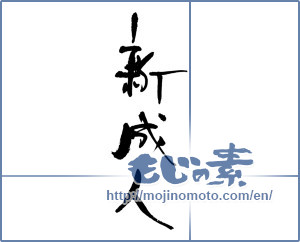 Japanese calligraphy "新成人" [17075]