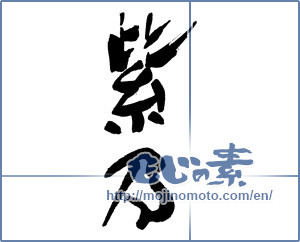 Japanese calligraphy "紫乃" [17410]