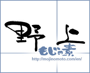 Japanese calligraphy "野上" [17436]