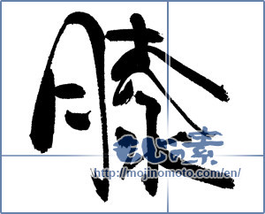 Japanese calligraphy "膝" [17478]
