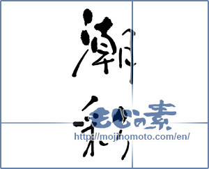 Japanese calligraphy "潮彩" [17785]