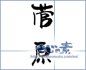 Japanese calligraphy "菅原" [17821]