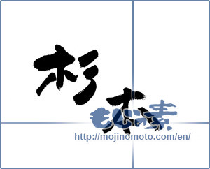 Japanese calligraphy "杉本" [17831]