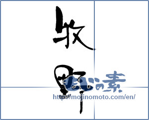 Japanese calligraphy "牧野" [17863]