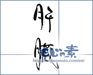 Japanese calligraphy "肝臓" [17919]