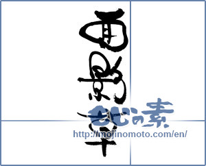 Japanese calligraphy "面影草" [18039]