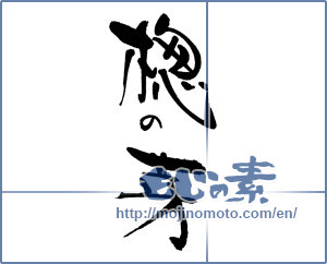 Japanese calligraphy "楤の芽" [18082]