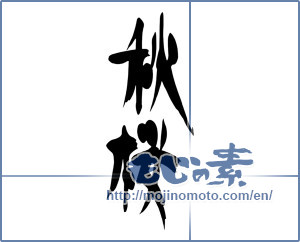 Japanese calligraphy "秋桜 (cosmos)" [18170]