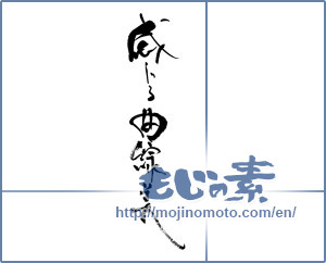 Japanese calligraphy "感じる曲線美" [18215]