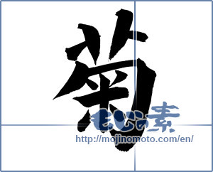 Japanese calligraphy "菊 (chrysanthemum)" [18258]