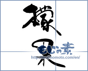 Japanese calligraphy "マンゴーの漢字" [18288]