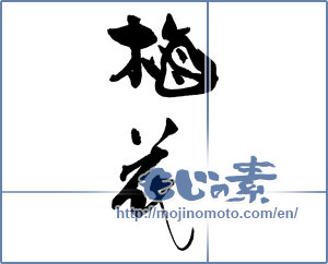 Japanese calligraphy "梅花 (ume blossoms)" [18397]