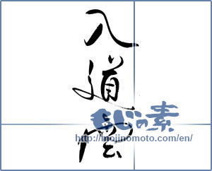 Japanese calligraphy "入道雲 (Thunderhead)" [19083]