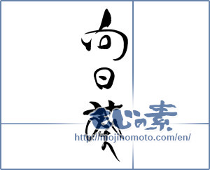 Japanese calligraphy "向日葵 (Sunflower)" [19095]