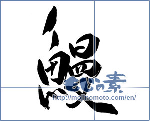 Japanese calligraphy "鰻 (Eel)" [19120]