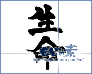 Japanese calligraphy "生命" [19136]