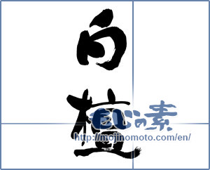 Japanese calligraphy "白檀" [19263]