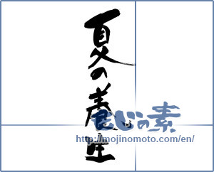 Japanese calligraphy "夏の養生" [19320]