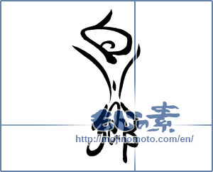 Japanese calligraphy "白川郷" [19559]