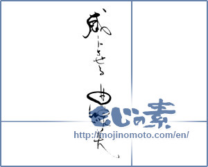 Japanese calligraphy "感じさせる曲線美" [19581]