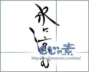 Japanese calligraphy "水に涼む" [19601]