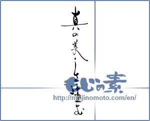 Japanese calligraphy "真の美しさ生む" [19625]