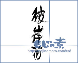 Japanese calligraphy "彼岸花 (cluster amaryllis)" [19775]