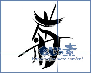 Japanese calligraphy "菊 (chrysanthemum)" [19824]