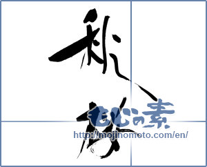 Japanese calligraphy "秋桜 (cosmos)" [20008]