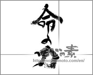 Japanese calligraphy "命の力" [20406]