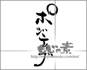 Japanese calligraphy "ポジティブ" [20501]
