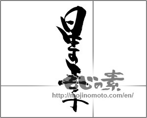 Japanese calligraphy "星の王子" [20944]