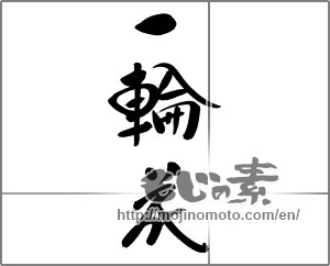 Japanese calligraphy "一輪花" [21110]