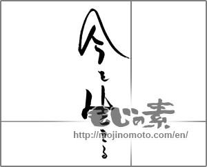 Japanese calligraphy "今を生きる" [21268]